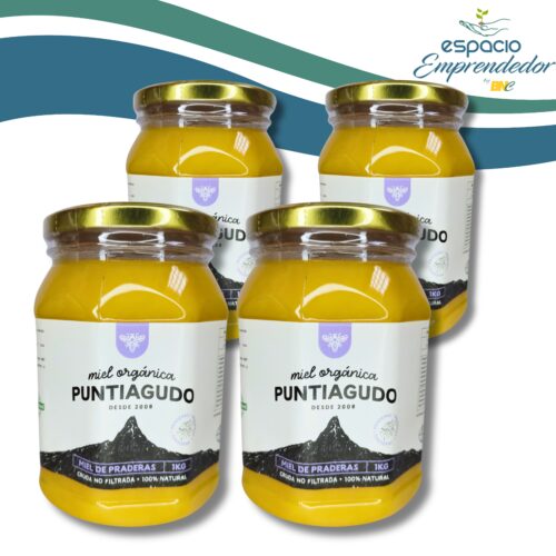 Pack 4 Kg – Miel orgánica de praderas no filtrada 100% natural – Marca Puntiagudo