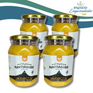 Pack 4 Kg – Miel orgánica de ulmo no filtrada 100% natural – Marca Puntiagudo