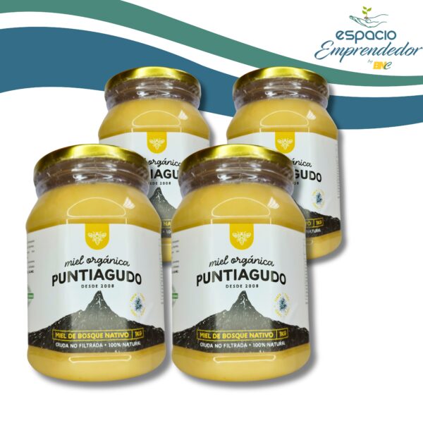 WhatsApp Image 2025-06-19 at 12.18.53 (5) Pack 4 Kg – Miel orgánica de bosque nativo no filtrada– Marca Puntiagudo