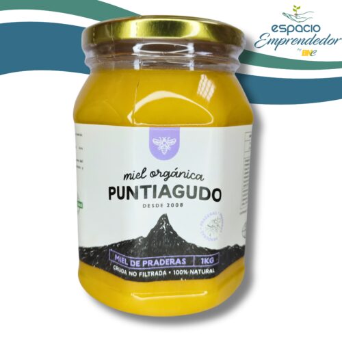 Miel orgánica de praderas- no filtrada 100% natural 1 Kg - Marca Puntiagudo