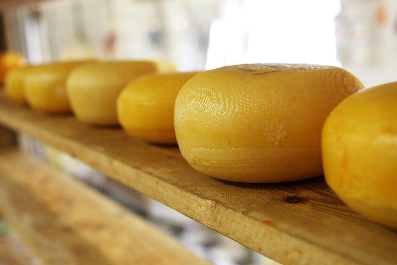 cheese-2785_1280 Queso Etiqueta Azul 1 kg