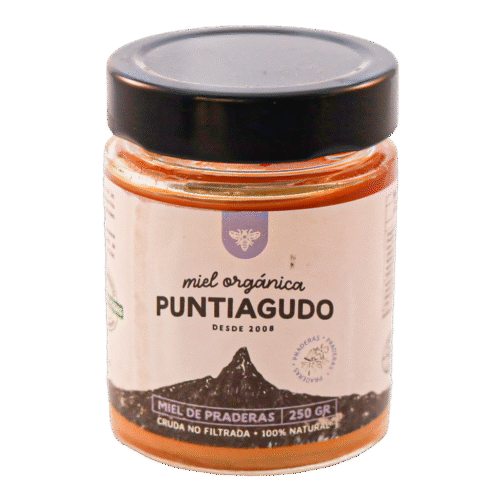 Miel Praderas 250 grs