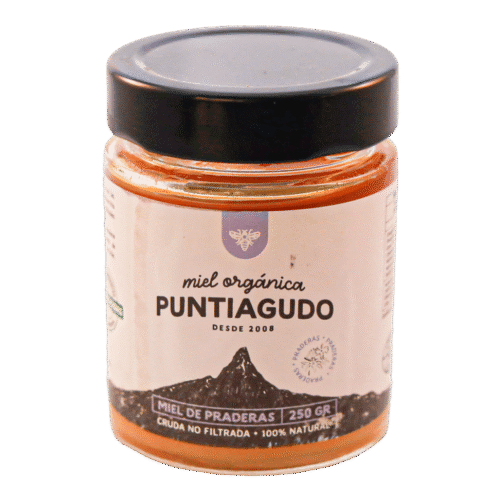Miel Praderas 250 grs
