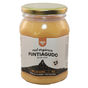Miel Ulmo 1 kg