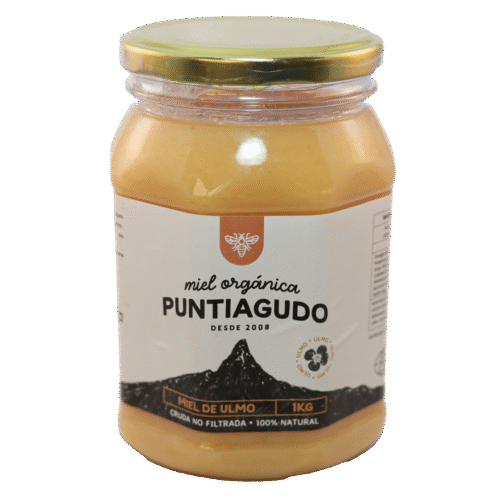 miel de ulmo 1kg puntiagudo Miel Ulmo 1 kilo