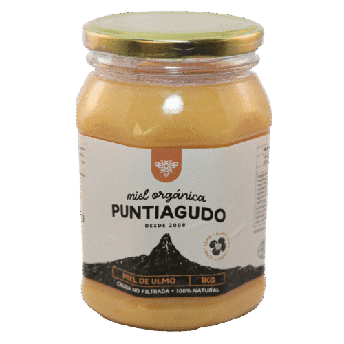 Miel Ulmo 1 kg
