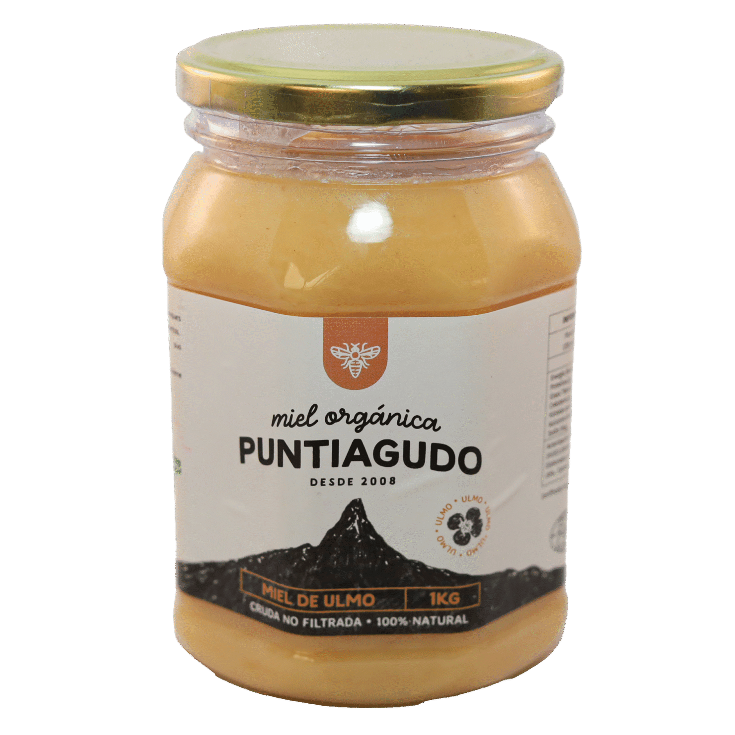 Miel Ulmo 1 kg