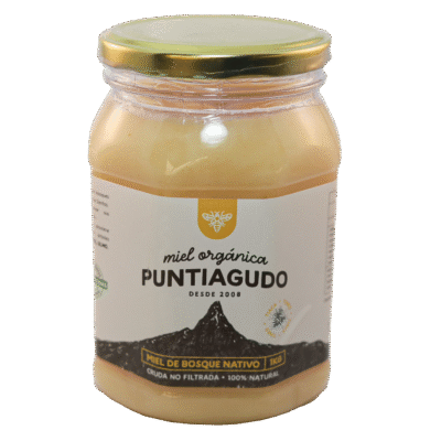 Miel Orgánica de Bosque Nativo no filtrada 1 kg