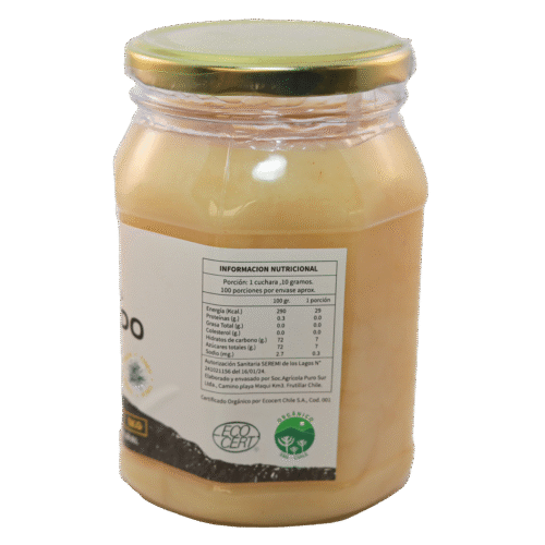 miel de bosque nativo puntiagudo 1kg 2 Miel Orgánica de Bosque Nativo no filtrada 1 kg