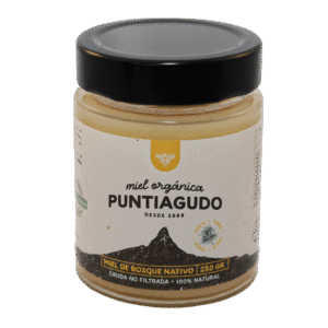 Miel Orgánica Bosque Nativo 250 grs