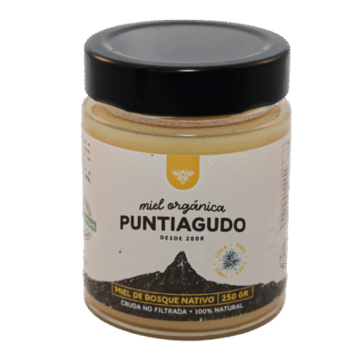 Miel Bosque Nativo 250 grs