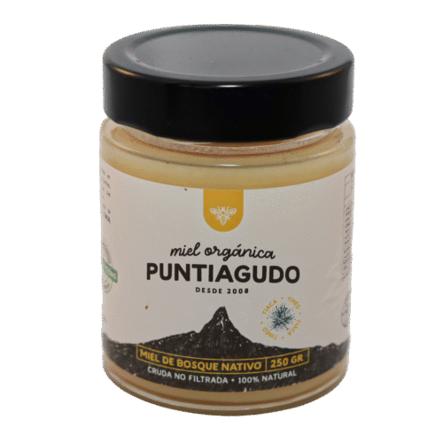 puntiagudo bosque nativo 250 grs Miel Bosque Nativo 250 grs