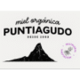 Logo miel orgánica Puntiagudo