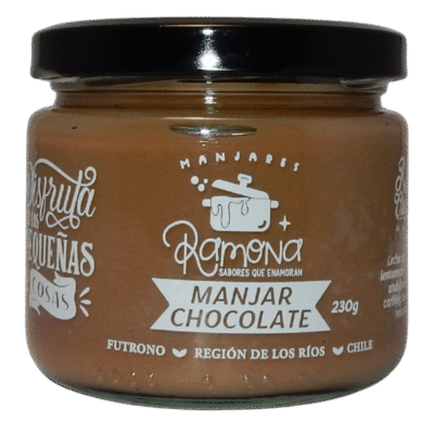 Manjar chocolate 230 grs