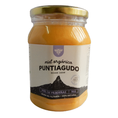 Miel Praderas 1 kilo