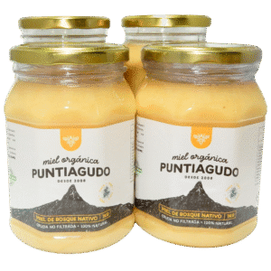 Pack 4 Kg – Miel Orgánica de Bosque Nativo no filtrada