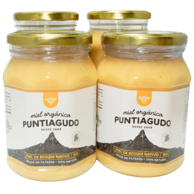 Pack 4 Kg – Miel Orgánica de Bosque Nativo no filtrada