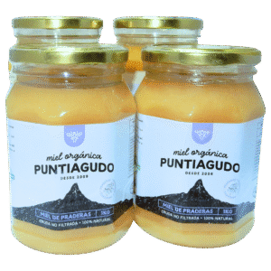 Pack 4 kg – Miel Orgánica de Praderas no filtrada