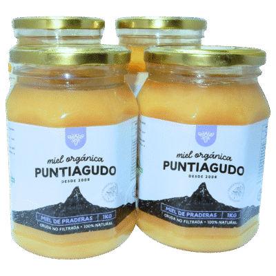 Pack 4 Kg – Miel Orgánica de Praderas no filtrada