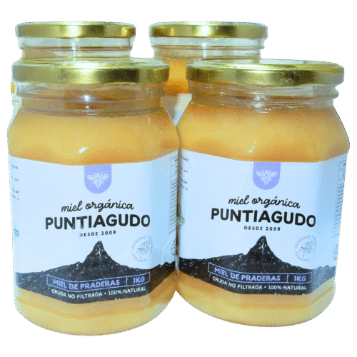 pack de 4 kilos miel puntiagudo (miel de praderas) Pack 4 Kg – Miel Orgánica de Praderas no filtrada