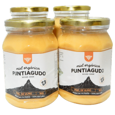 Pack 4 Kg – Miel Orgánica de Ulmo no filtrada