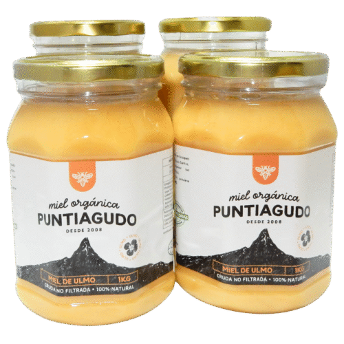 pack de 4 kilos miel puntiagudo (miel de ulmo) Pack 4 Kg – Miel Orgánica de Ulmo no filtrada