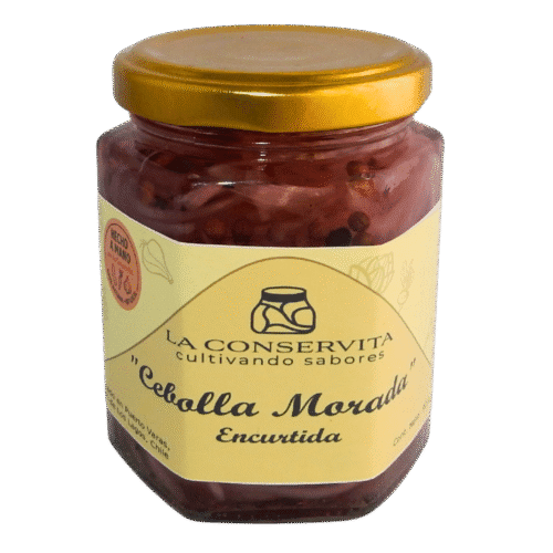 Encurtido cebolla morada 90 grs