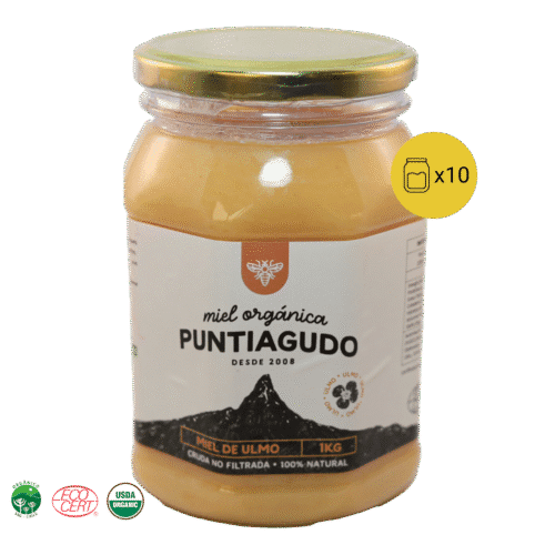 Pack 10 kg – Miel Orgánica de Ulmo no filtrada