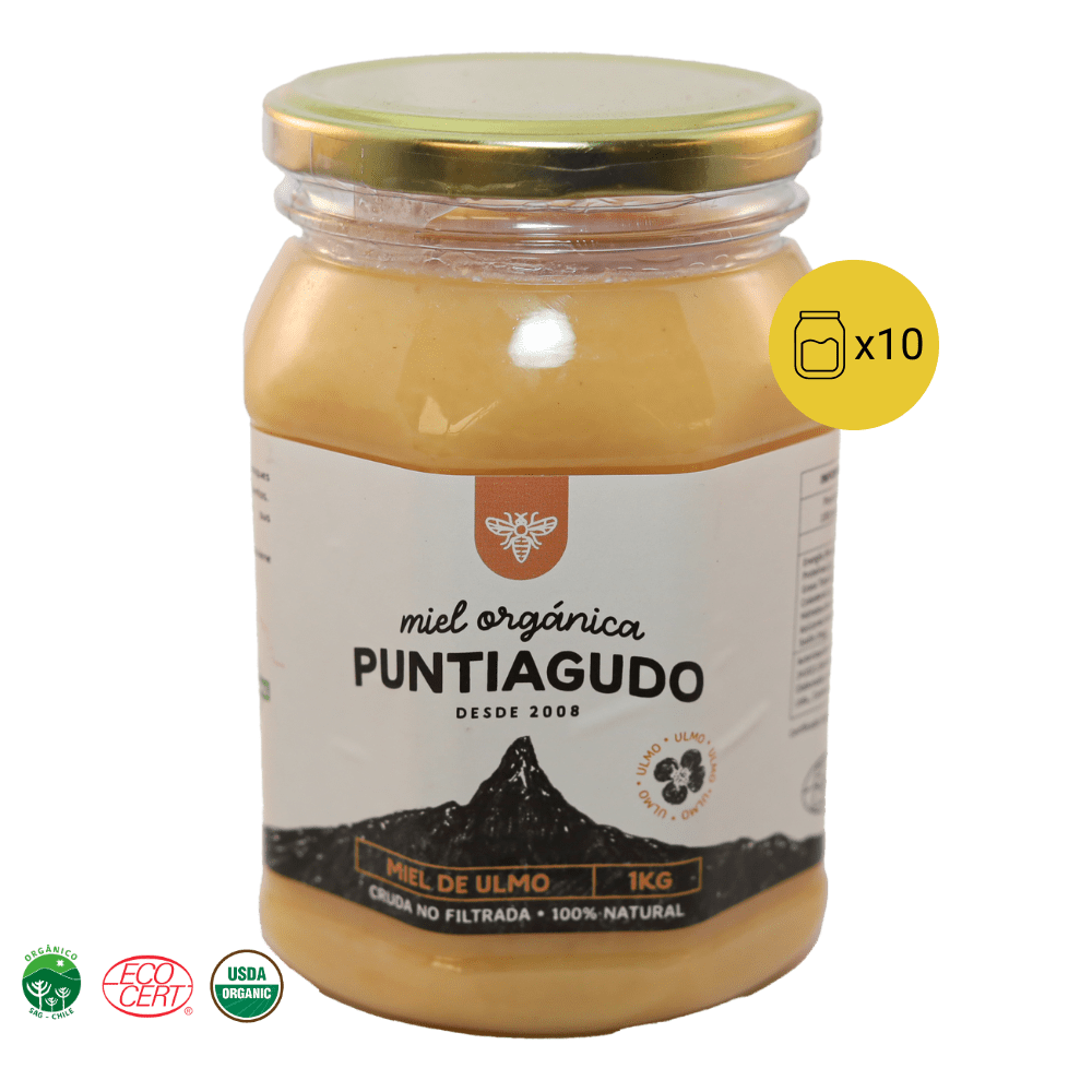 Pack 10 kg – Miel Orgánica de Ulmo no filtrada