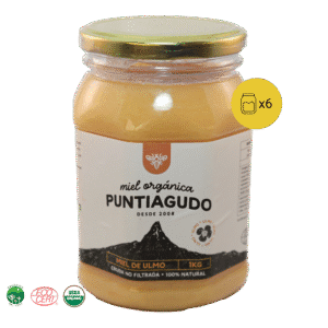 Pack 6 kg – Miel Orgánica de Ulmo no filtrada