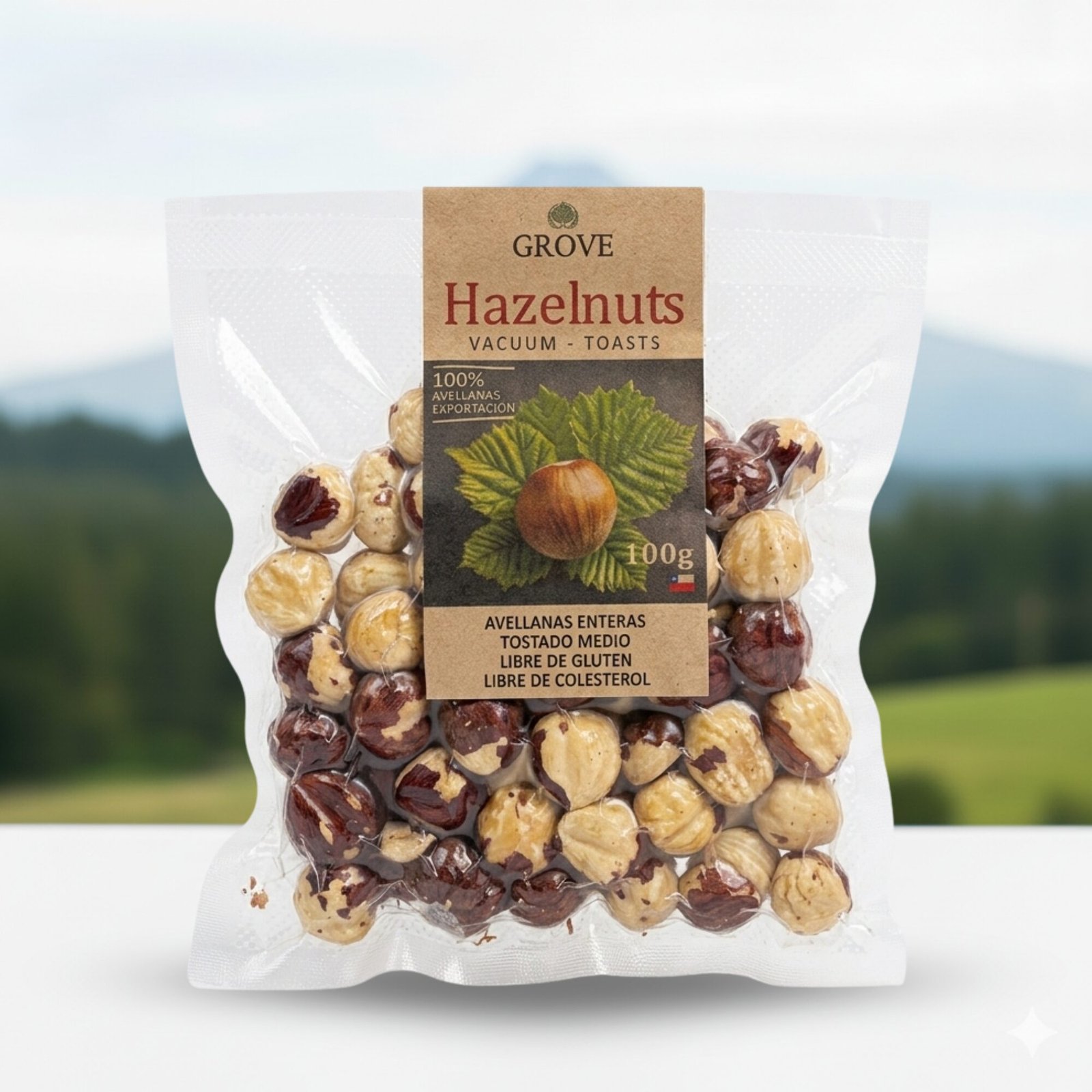 Avellanas Europeas Tostadas 100g | Calidad de Exportación en Chile