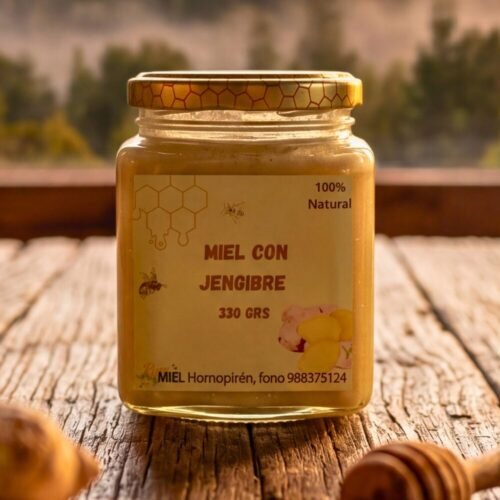 Miel de Ulmo con Jengibre 330g | Artesanal Sur de Chile — Pura Miel