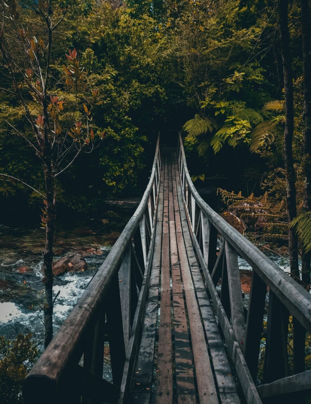 nicol-castillo-FP6TyoRVUvg-unsplash